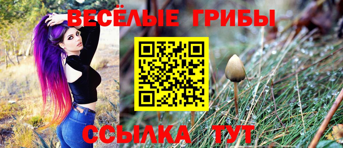 Псилоцибиновые грибы GOLDEN TEACHER  Псилоцибиновые грибы Cubensis  Сургут  Вход с VPN 